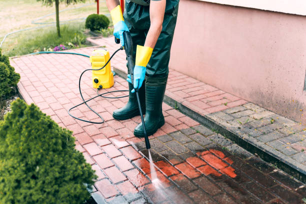 Best Commercial Building Pressure Washing  in Wmington, IL