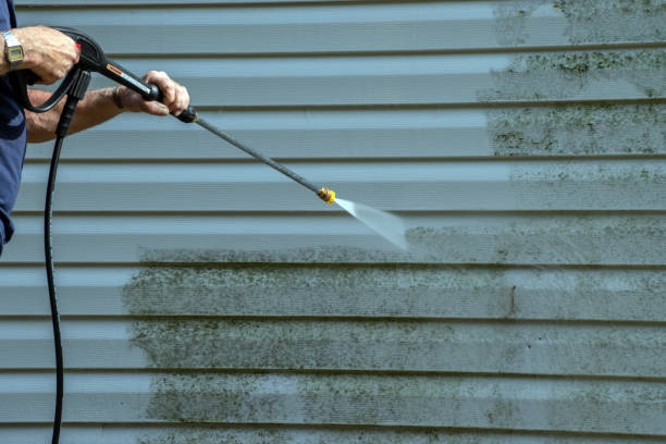 Best Deck Pressure Washing  in Wmington, IL