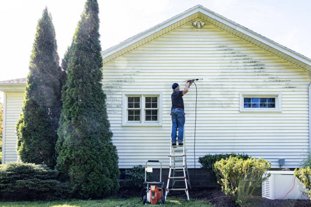 Best Sidewalk Pressure Washing  in Wmington, IL