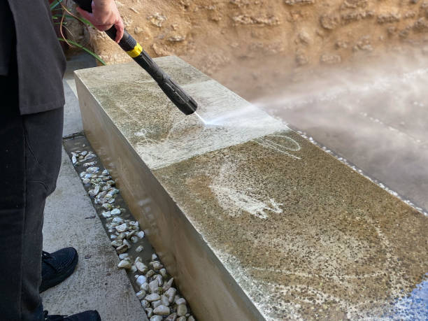 Best Deck Cleaning Services  in Wmington, IL
