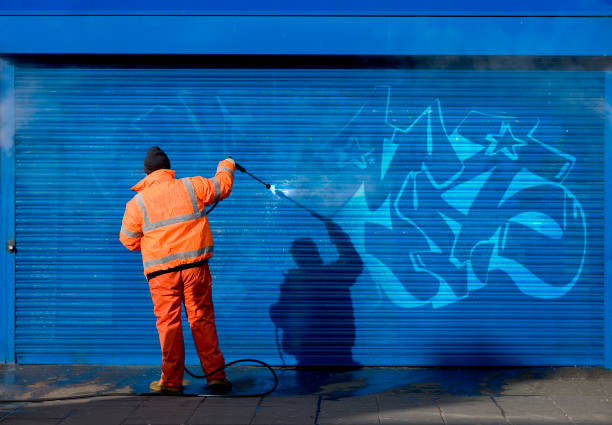 Best Local Pressure Washing Services  in Wmington, IL