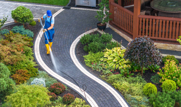 Best Power Washing Near Me  in Wmington, IL