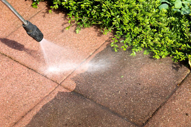 Best Fence Pressure Washing  in Wmington, IL